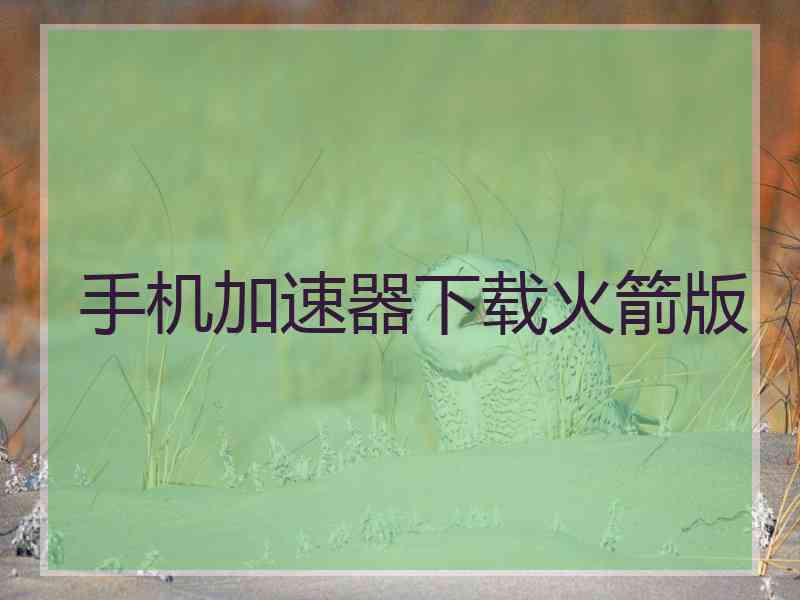 手机加速器下载火箭版