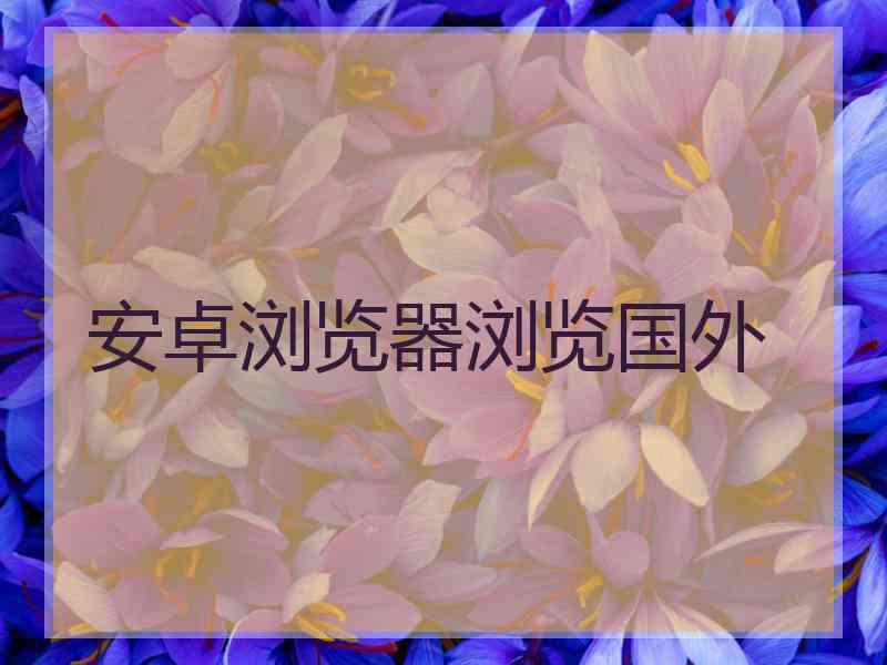 安卓浏览器浏览国外