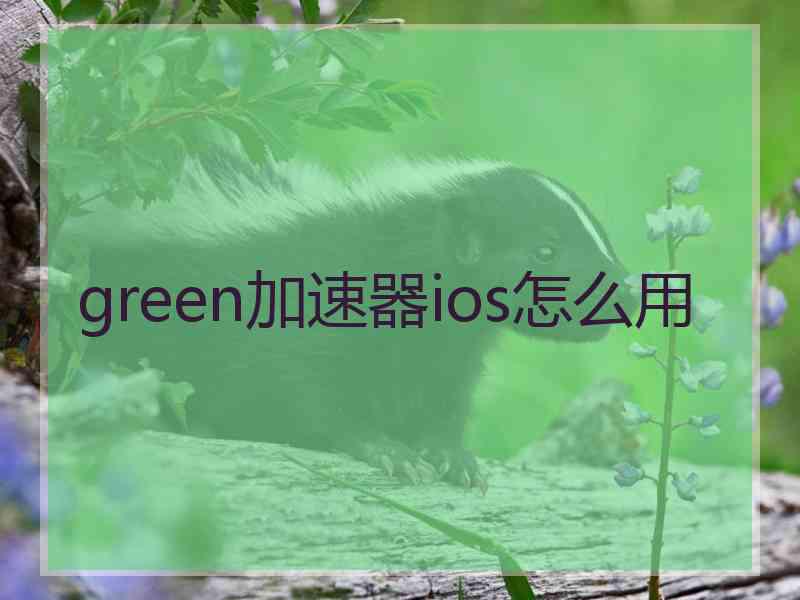 green加速器ios怎么用