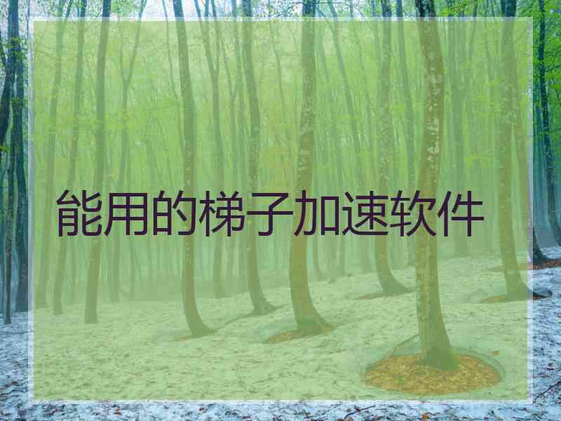 能用的梯子加速软件