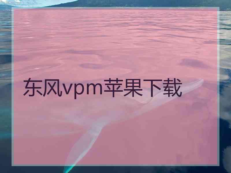 东风vpm苹果下载
