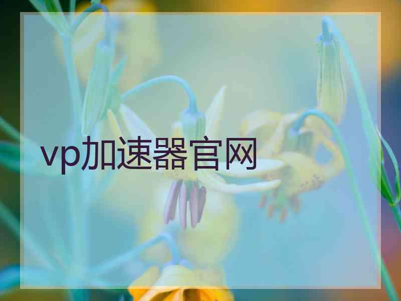 vp加速器官网