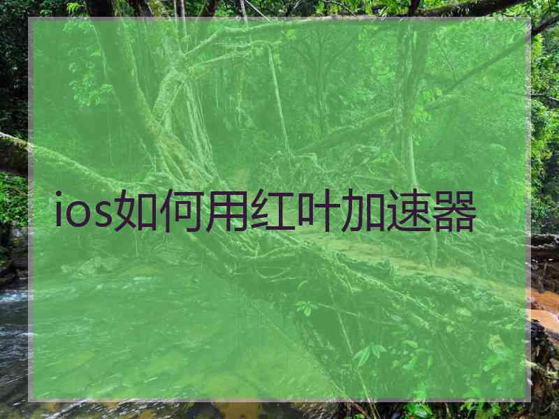 ios如何用红叶加速器