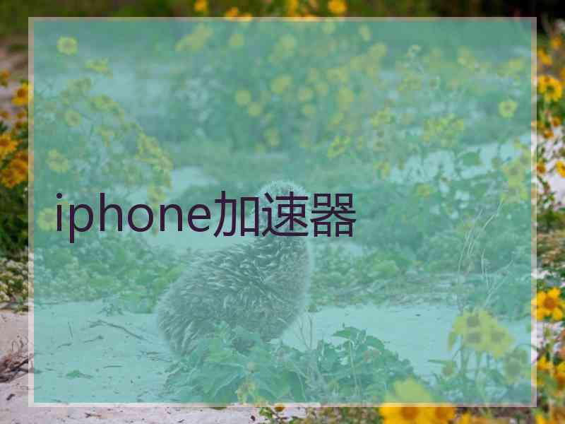 iphone加速器