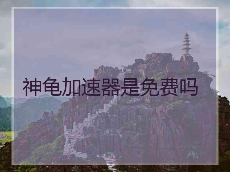 神龟加速器是免费吗