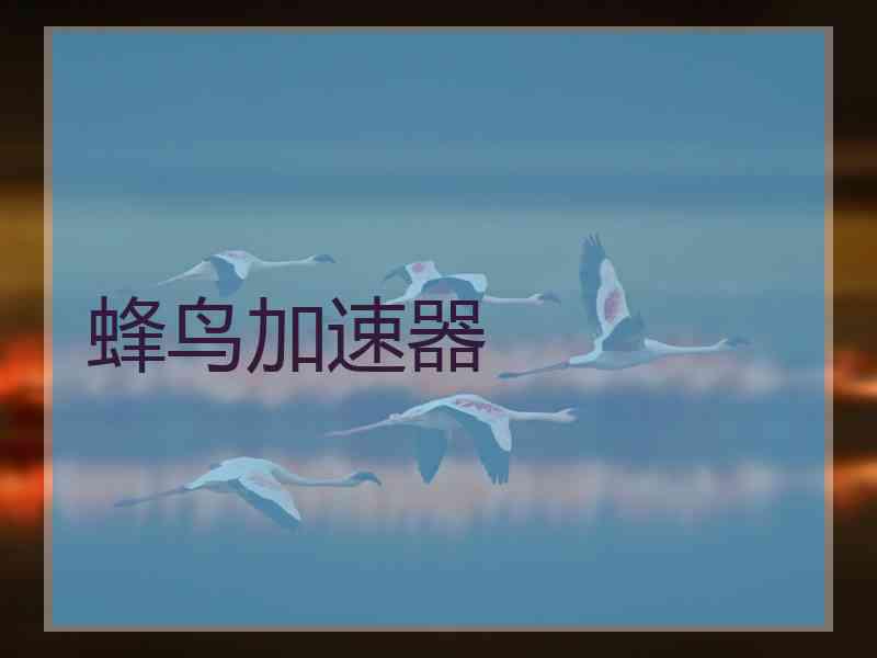 蜂鸟加速器