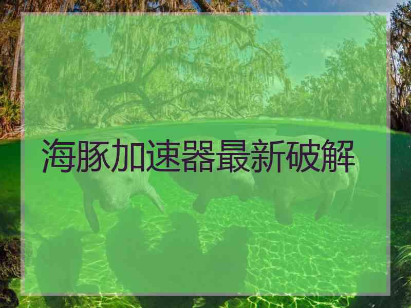 海豚加速器最新破解