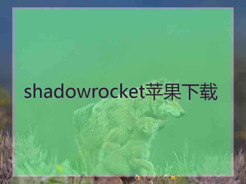 shadowrocket苹果下载