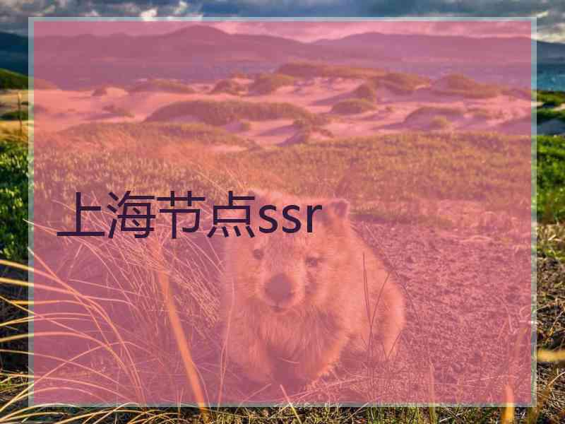 上海节点ssr
