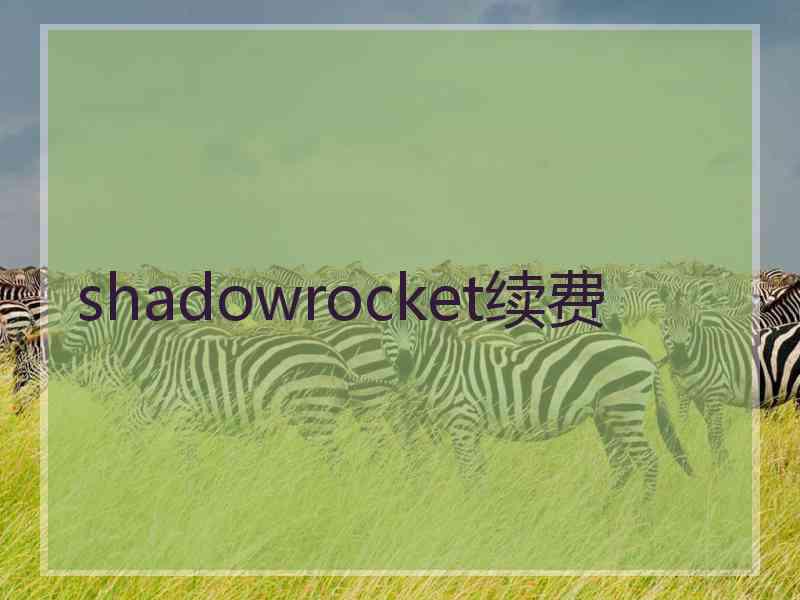 shadowrocket续费