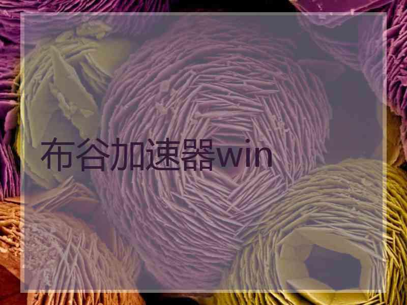 布谷加速器win