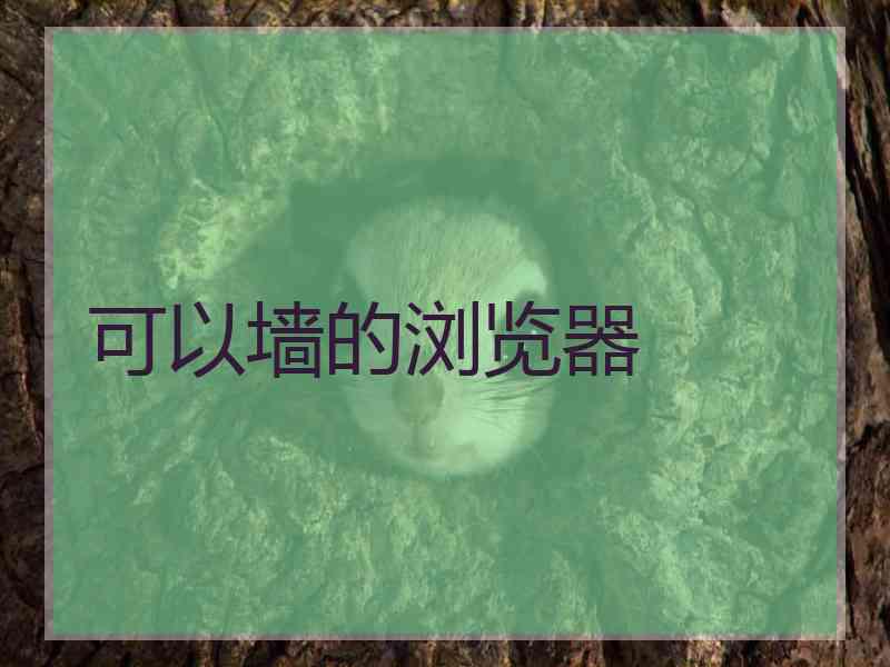 可以墙的浏览器