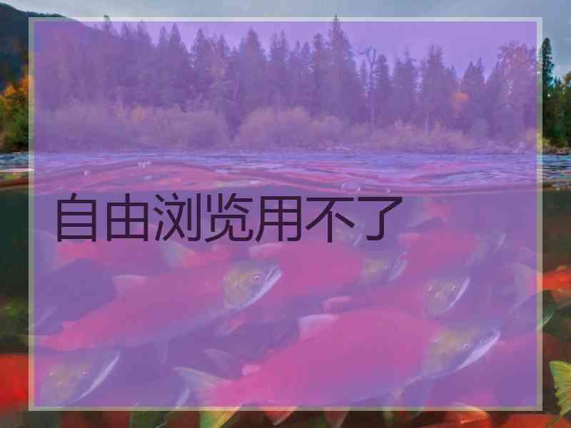 自由浏览用不了