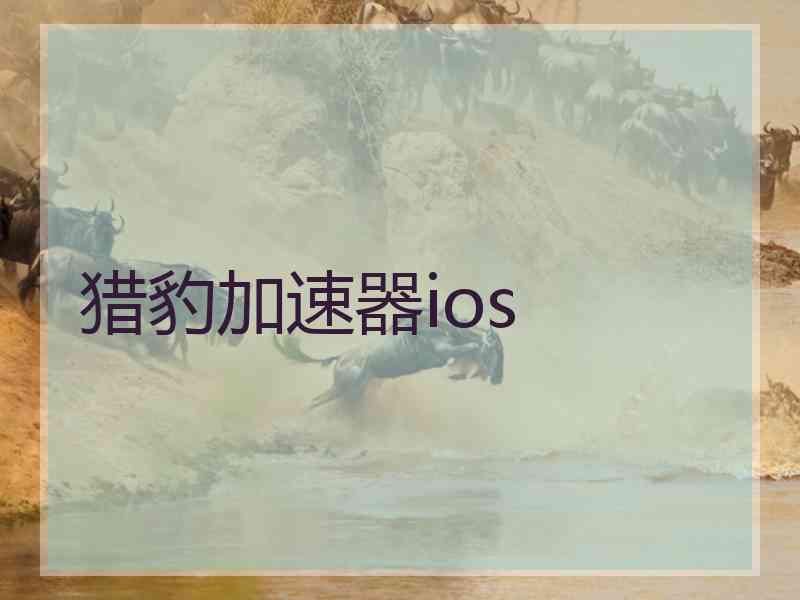 猎豹加速器ios