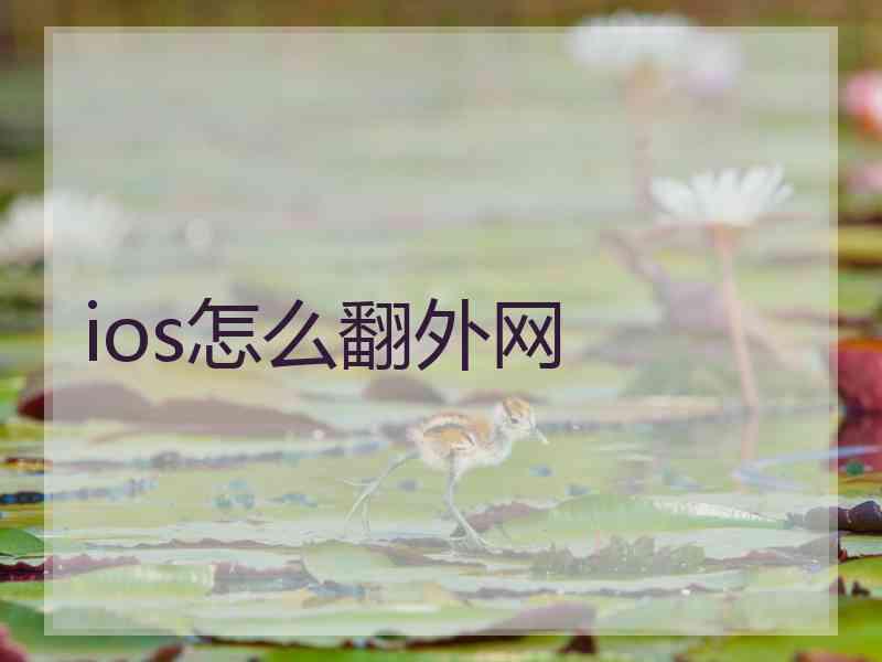 ios怎么翻外网
