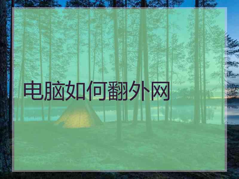 电脑如何翻外网