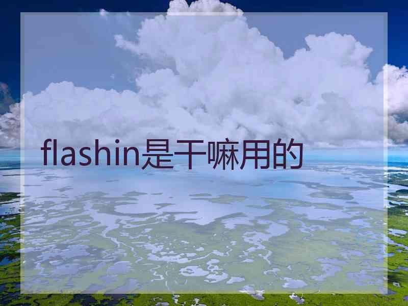 flashin是干嘛用的