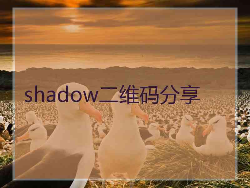 shadow二维码分享
