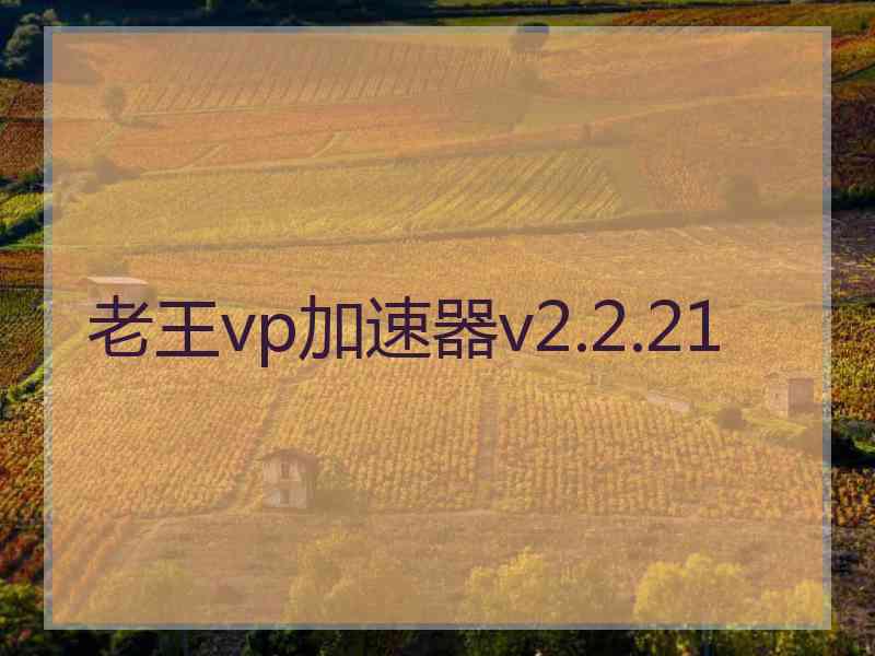 老王vp加速器v2.2.21