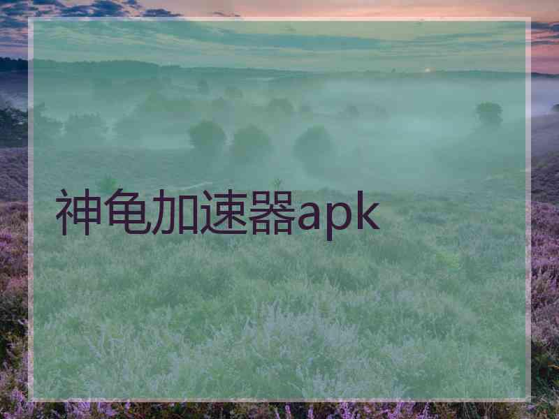 神龟加速器apk