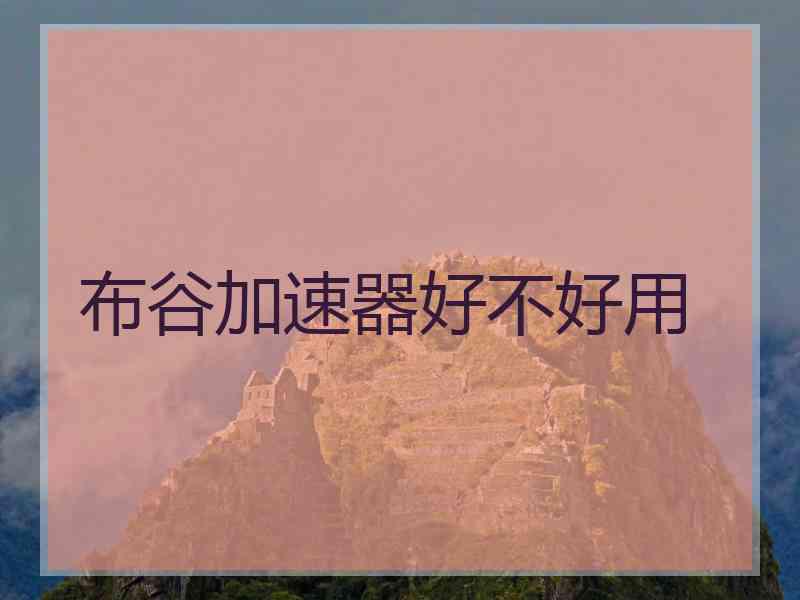 布谷加速器好不好用