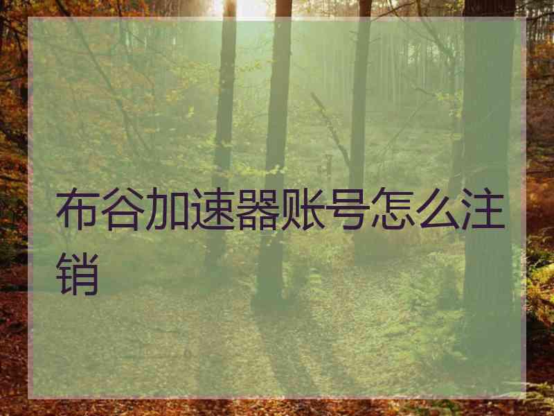 布谷加速器账号怎么注销