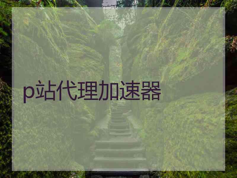 p站代理加速器