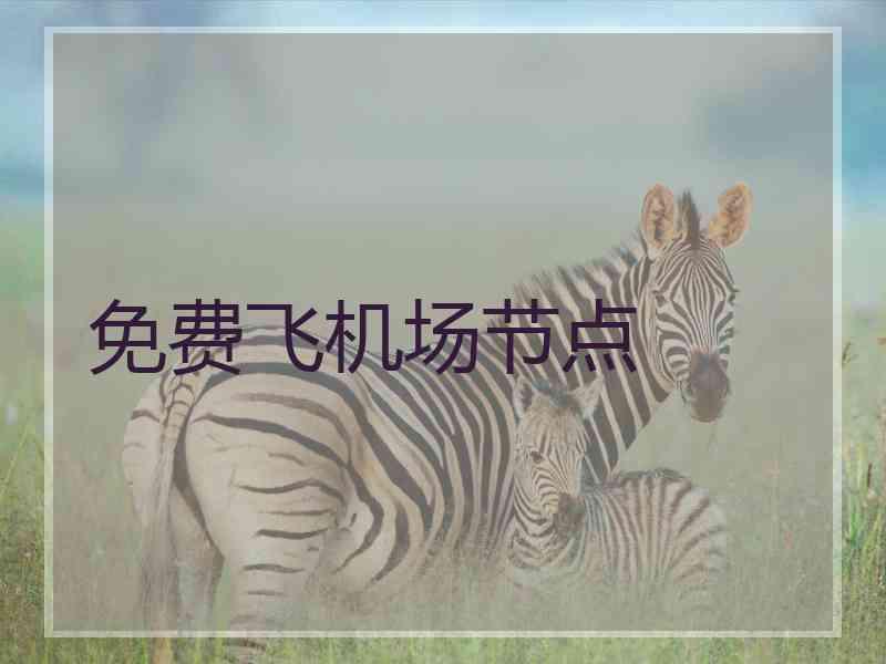 免费飞机场节点