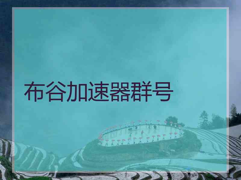 布谷加速器群号