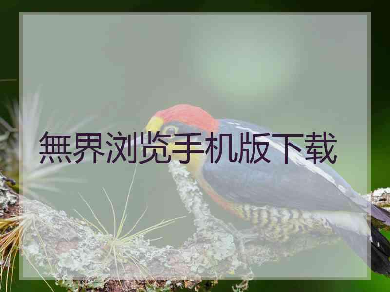無界浏览手机版下载