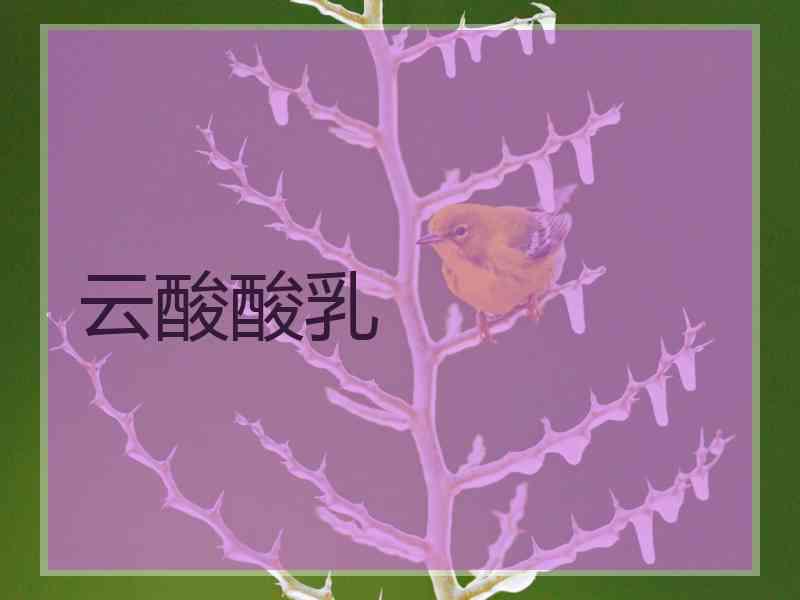 云酸酸乳