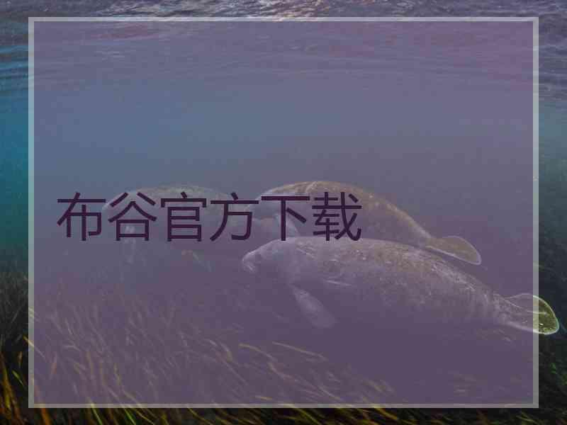 布谷官方下载