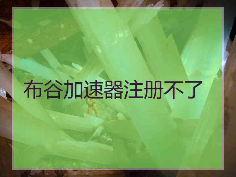 布谷加速器注册不了
