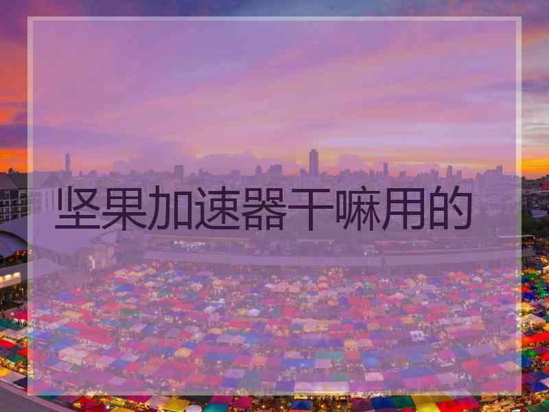 坚果加速器干嘛用的